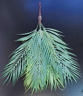 Ramură decorativă artificială tip palmier – model cu frunze lungi și dese, verde pastel